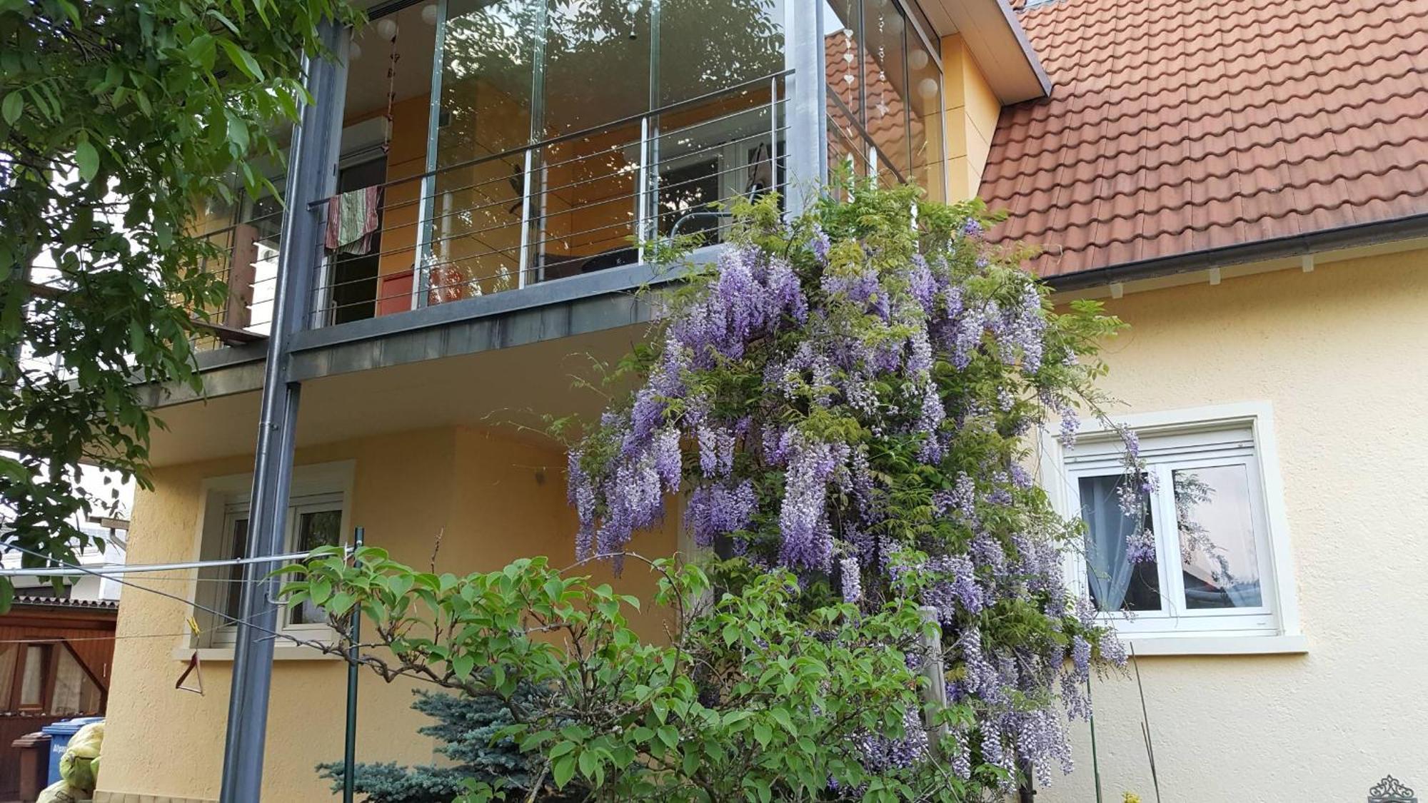 Ferienwohnung Miezerle Steisslingen Εξωτερικό φωτογραφία